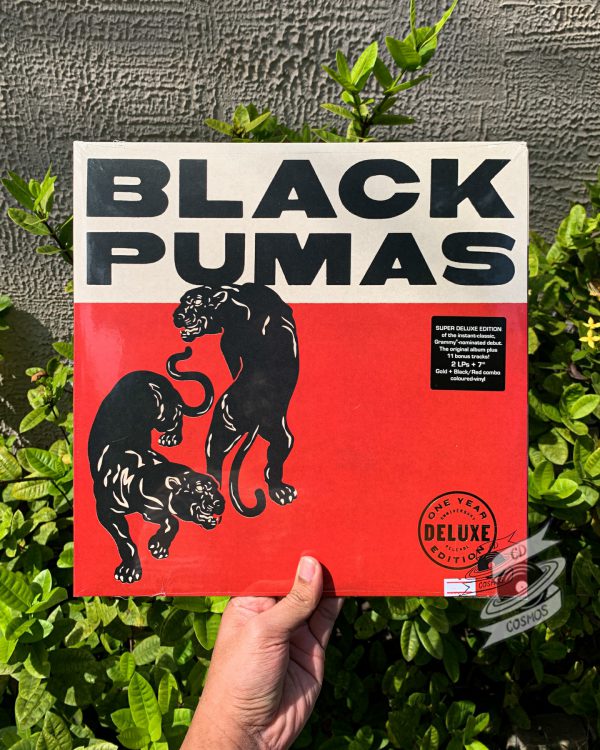 Black Pumas – Black Pumas Vinyl