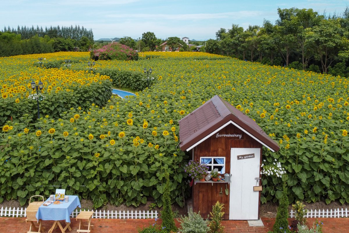 บ้านไร่นายรุ่ง8