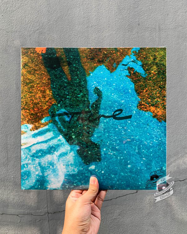 The Fin. – There Vinyl
