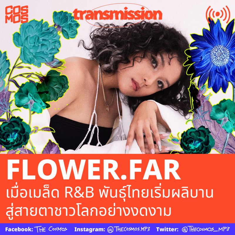 Flower.far interview