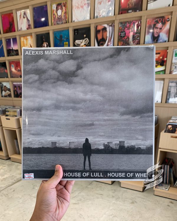 Alexis Marshall* – House Of Lull. House Of When