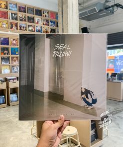 Seal Pillow - Camel Traveling