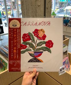 Sunset Rollercoaster – Cassa Nova