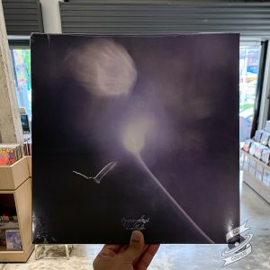 Sugar Plant – Headlights