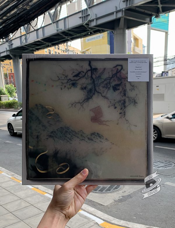 Novo Amor – Birthplace