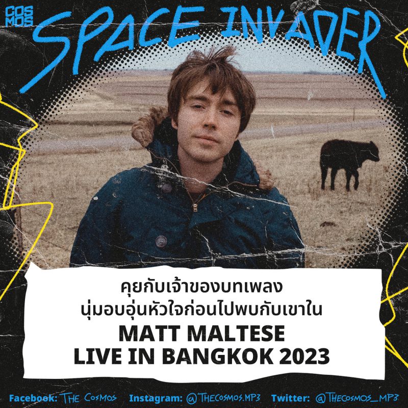 Matt Maltese interview