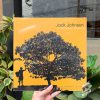 Jack Johnson ‎– In Between Dreams