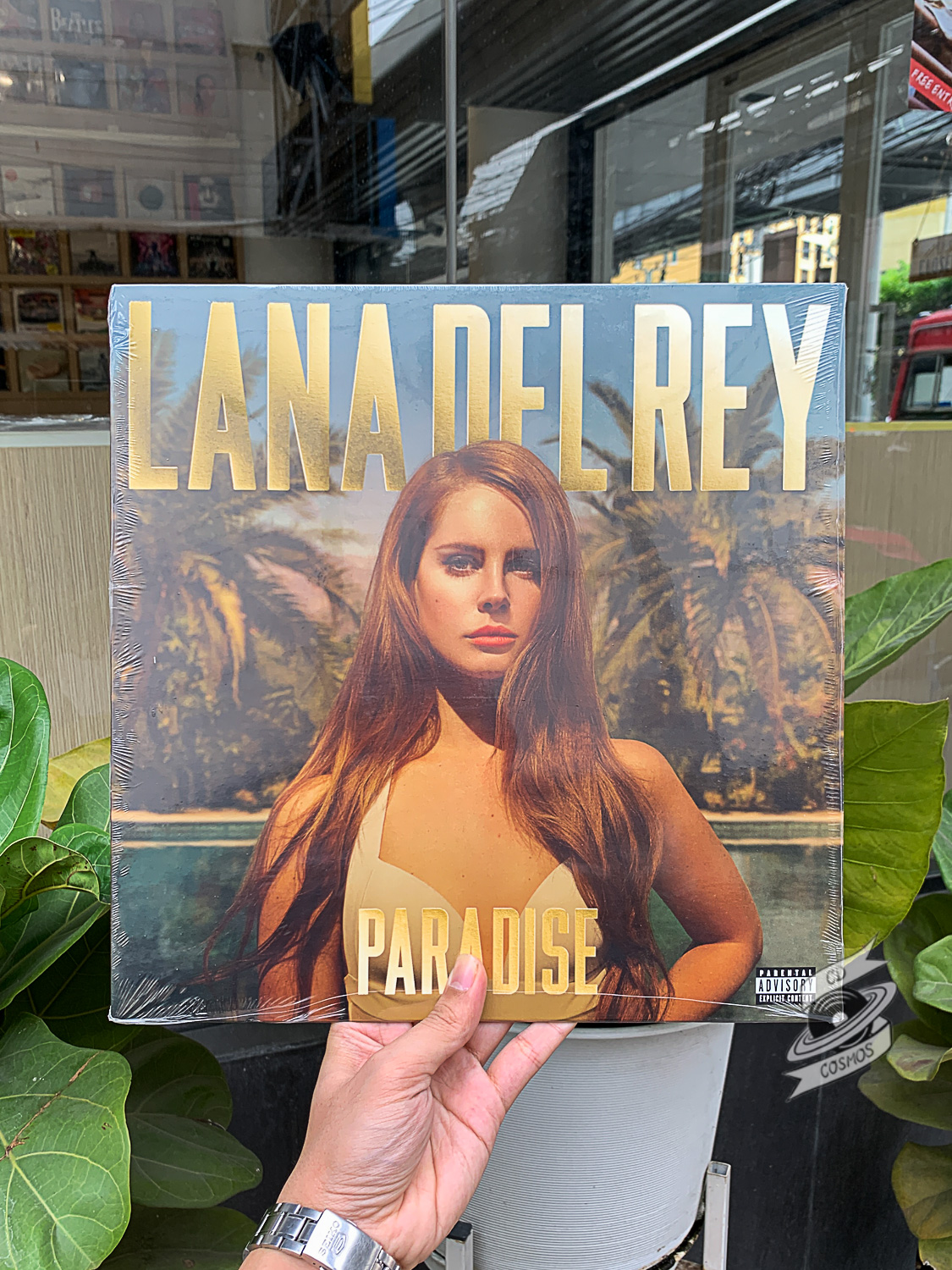 Paradise - Lana Del Rey - Lp Vinyl