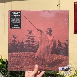 Unknown Mortal Orchestra – II
