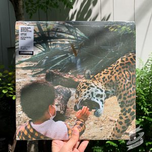 Unknown Mortal Orchestra – V (Gold LP)