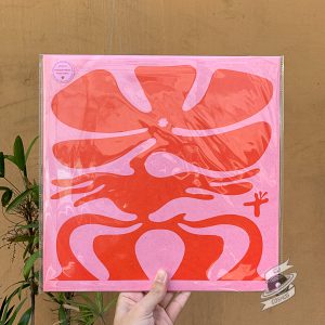 Numcha – ‘Bloom’ 2nd Edition (Pink LP)