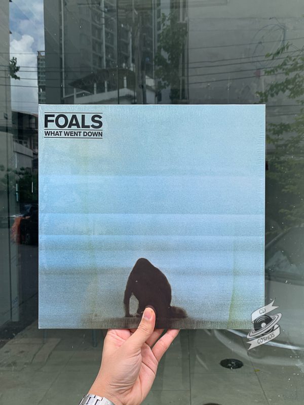 Foals – What Went Down