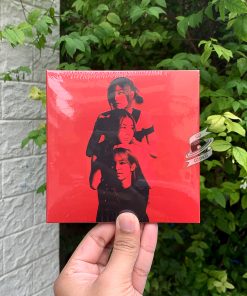 Vini – My Mom Doesn't Like This