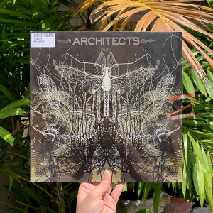 Architects – Ruin