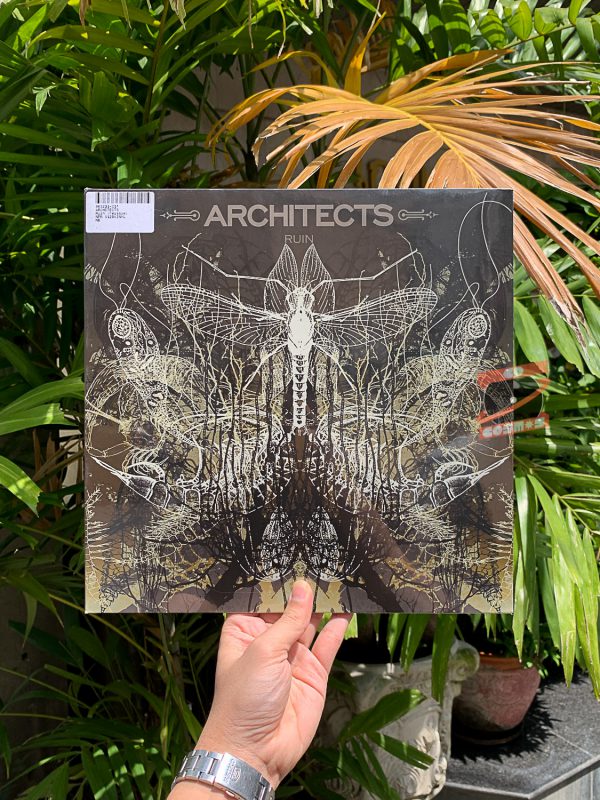 Architects – Ruin