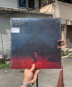 Phoebe Bridgers – Punisher