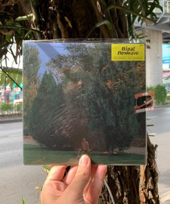 Nipat Newwave – Sky So Blue / I Want You Back