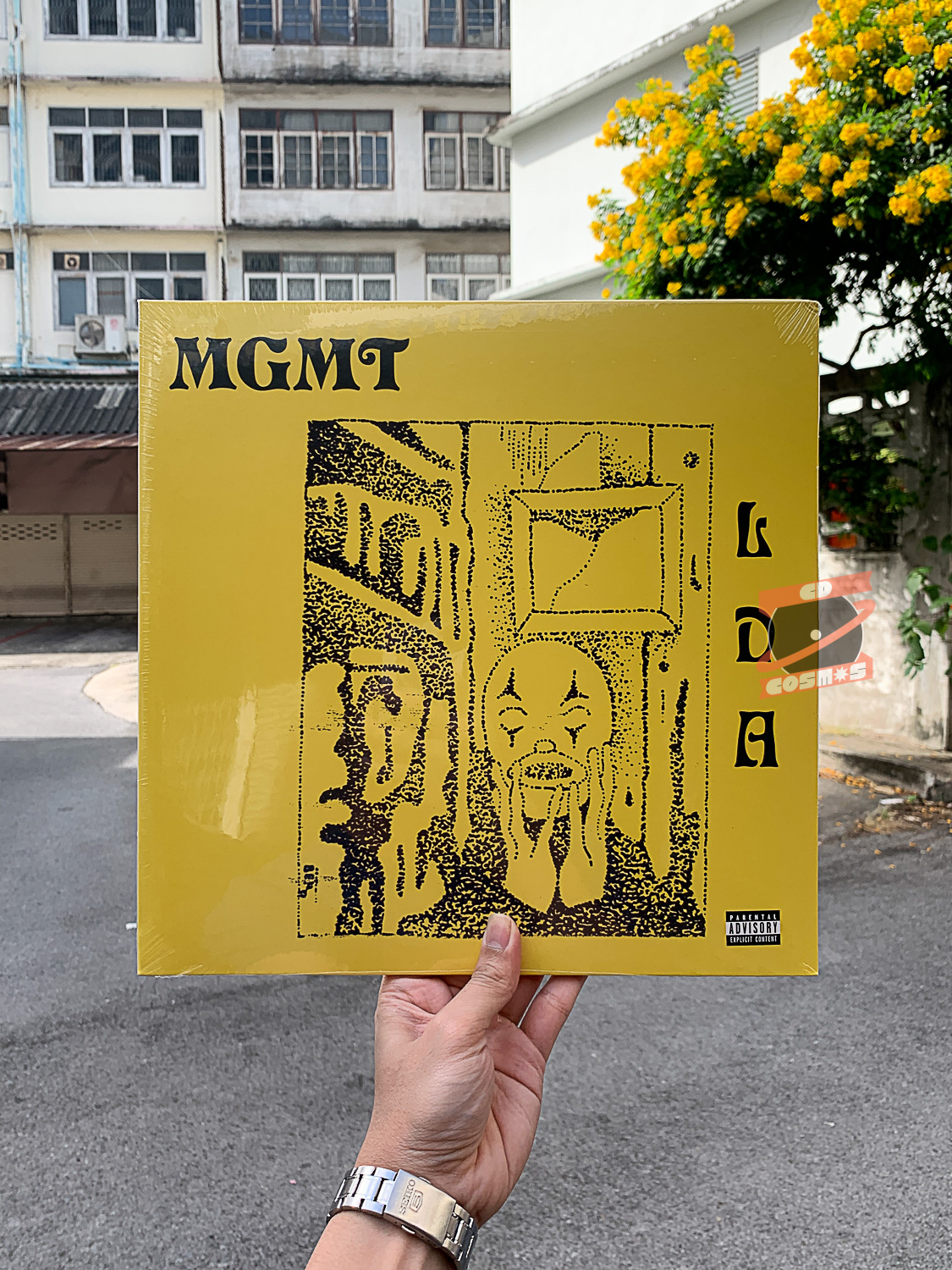 MGMT Little Dark Age Cdcosmos