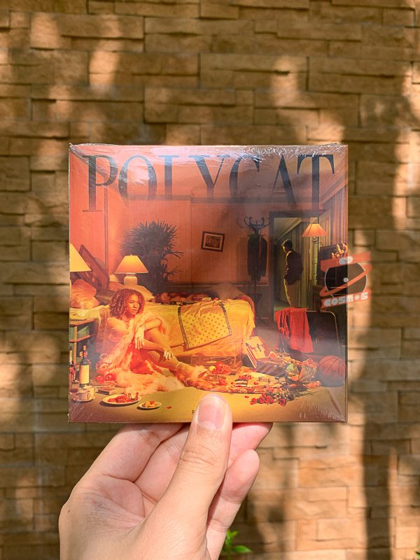 Polycat – Pillow War