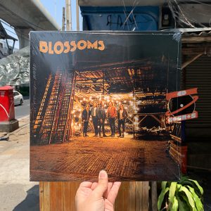 Blossoms – Blossoms