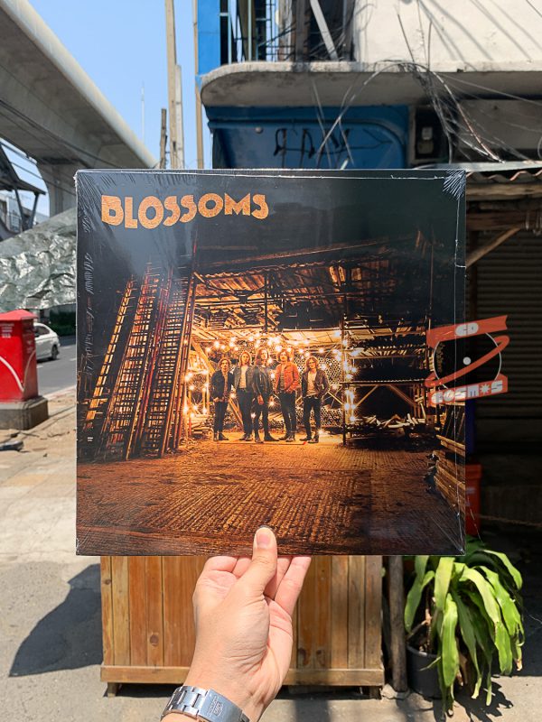Blossoms – Blossoms