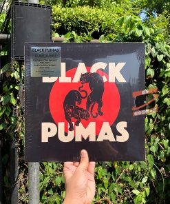 Black Pumas ‎– Black Pumas
