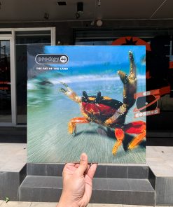 Prodigy – The Fat Of The Land