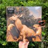 Interpol – Our Love To Admire (Blue LP)