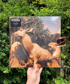 Interpol – Our Love To Admire (Blue LP)