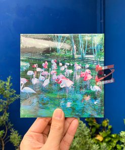 YOHLU – DEAD AND BREAKFAST (CD)