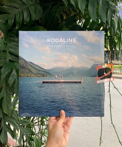 Kodaline ‎– In A Perfect World