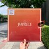 Jungle – Volcano