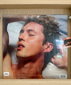 Troye Sivan – Something To Give Each Other