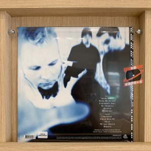 Evanescence ‎– Fallen