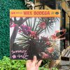 Summer Salt – Campanita (Pink LP)
