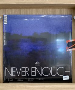 Daniel Caesar – Never Enough