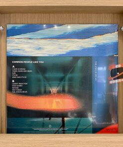 COMMON PEOPLE LIKE YOU – THE JOKE IS ON US