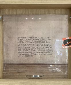 Arlo Parks – Collapsed In Sunbeams