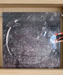 INSPIRATIVE : INVISIBLE BONDS (Vinyl)