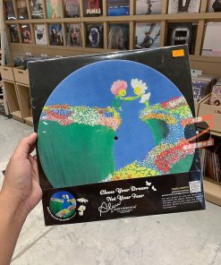 Partyfunction - Chase Your Dream Not Your Fear Alice (Slipmat)