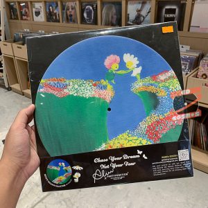 Partyfunction - Chase Your Dream Not Your Fear Alice (Slipmat)