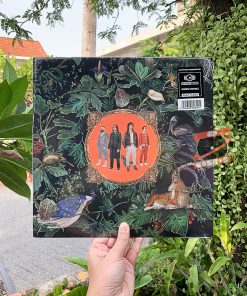 Don Broco - Amazing Things (Green Vinyl)