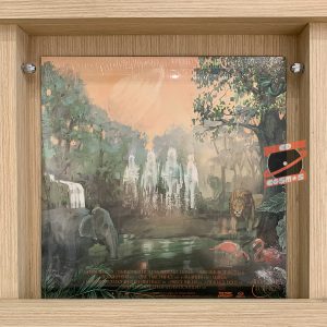 Don Broco - Amazing Things (Green Vinyl)