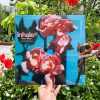 Inhaler - Open Wide (Pink Vinyl)
