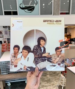 Armchair - Pastel Mood (Cinnamon Vinyl)