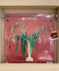 Snail Mail - Valentine (Gold LP)