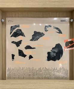 Mitski – The Land Is Inhospitable And So Are We