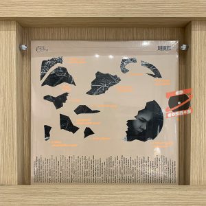 Mitski – The Land Is Inhospitable And So Are We