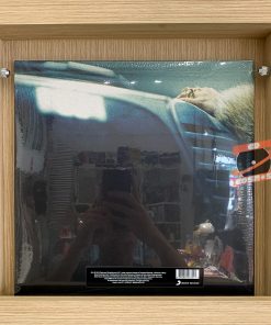 Beyoncé – Lemonade