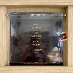 Blood Orange - Negro Swan